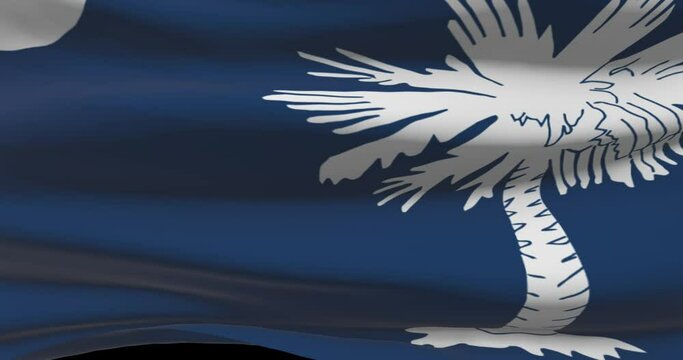 South Carolina state flag.  SC United States of America news and politics illustration