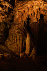 Scallop decorations in the cave.