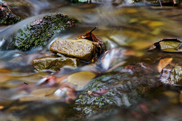 A small river flowing between the stones in a forest with autumn leaves.
