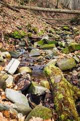A small river flowing between stones in a forest with leaves and a fallen tree in the background.
