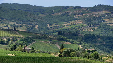 Fototapeta na wymiar Liebliches Tal mit Weinstöcken bei Panzano