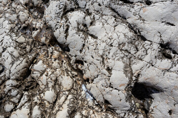 Fototapeta premium White and black natural marble rock material with cracks close-up texture. Light stone surface pattern details in sunny Greece