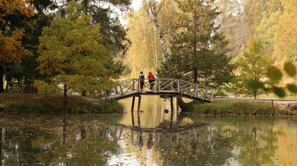 Autumn pond with bridge in park for natural background