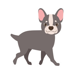 Obraz na płótnie Canvas french bulldog pet character