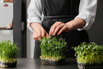 Woman cutting fresh micro green at table