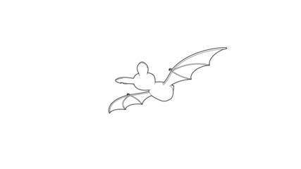 Halloween Bat Illustration