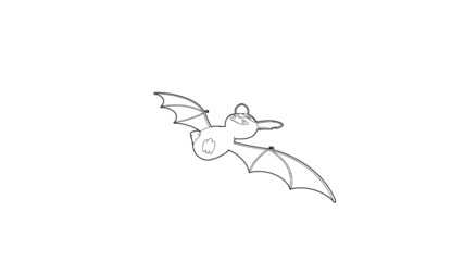 Halloween Bat Illustration