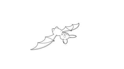 Halloween Bat Illustration