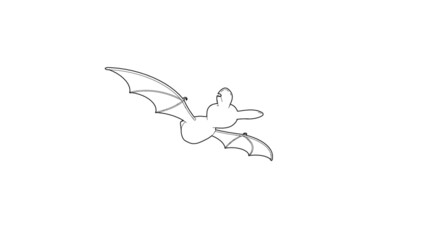 Halloween Bat Illustration