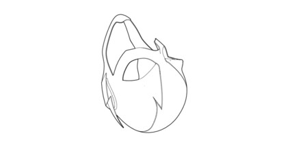 Human Mask