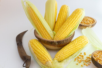 CORN, SWEET CORN ON THE TABLE