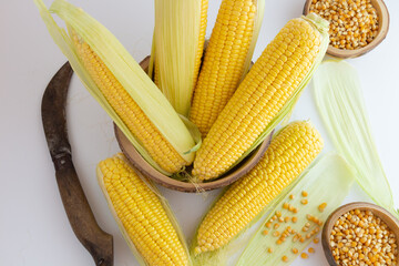 corn, sweet corn on white background