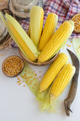 corn, sweet corn on white background
