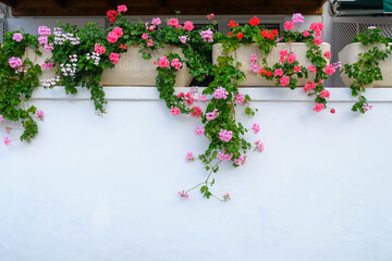 Pink geranium flowers in ceramic pots on white wall in a fashionable summer vacations place.