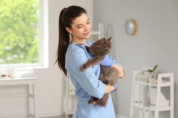 Female veterinarian holding grey cat in clinic © Pixel-Shot