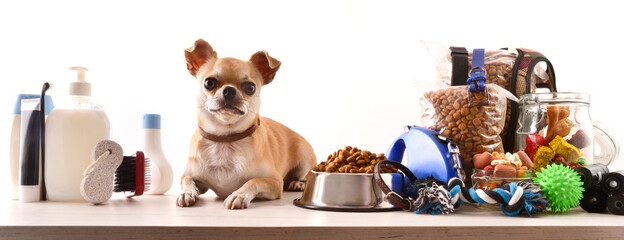 Food and accessories for the dog and chihuahua on table