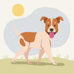 jack russel in the camp