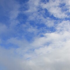 爽やかな青空と白い雲