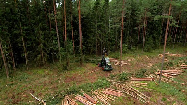 Forest harvester during sawing trees in a forest. Forestry tree harvester in woodland on clearing forests. Clearcutting logging illegal deforestation. Tree cutting, drone view. Timber equipment.