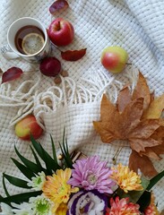 autumn still life