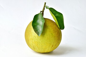pomelo isolated on a white background
