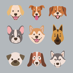 nine dogs head mascots