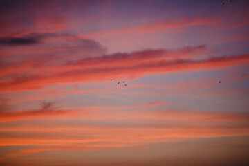 Fototapeta na wymiar Red clouds after sunset. Beautiful sunset.