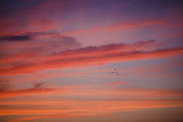 Fototapeta na wymiar Red clouds after sunset. Beautiful sunset.