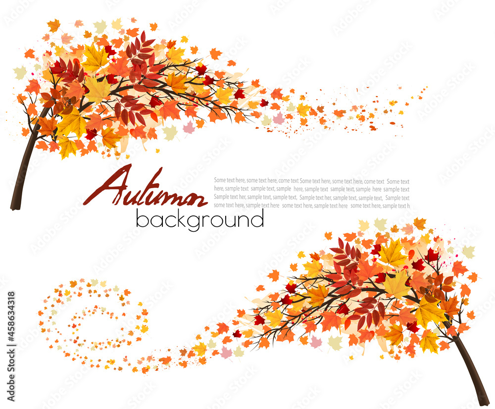 Fototapete Autumn absctact background with a tree and a colorful leaves. Vector.