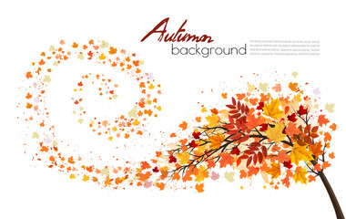 Autumn absctact background with a tree and a colorful leaves. Vector.