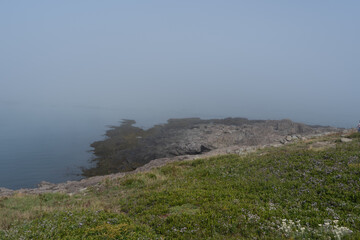 Fog coming in over the landscape