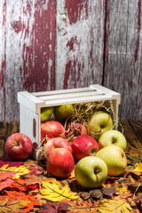 Fresh green and red apples in a wooden box