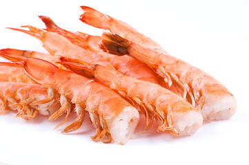 Tiger shrimp isolated on white