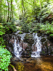 Obraz premium waterfall in the forest