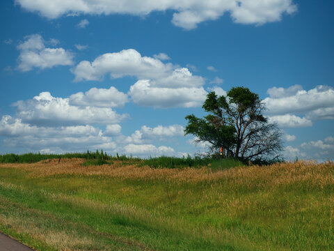 Beautiful Landscape With A Lone Tree Growing Along The Road In Nebraska.