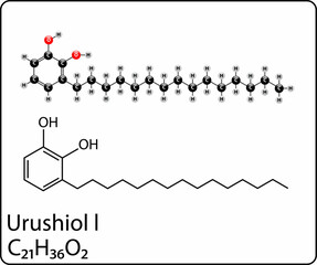 diagram of the urushiol molecule