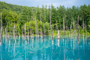 青い池