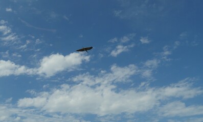 Wide blue skies with cottonwad clouds and a bird flying straight