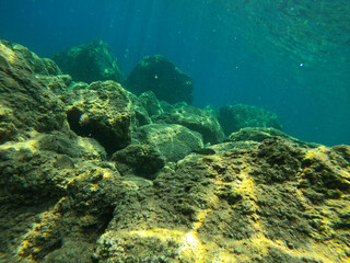 Plakat Underwater world of Mediterranean Sea. Near Marmaris, Turkey