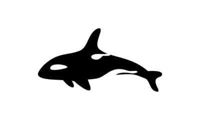 the fish orca killer whale vector