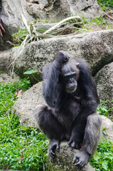 OMG! I forgot about...about....Oh, really forgot everything, but I still think about it.