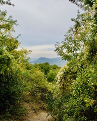 Demerdzhi Ghost Valley