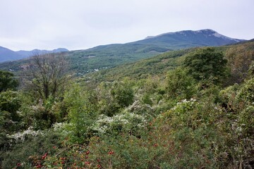 Demerdzhi Ghost Valley