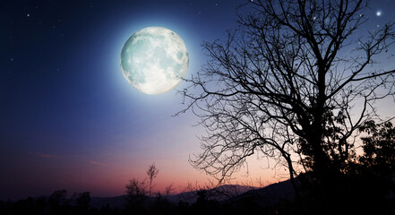 Fototapeta premium Full moon in night sky.