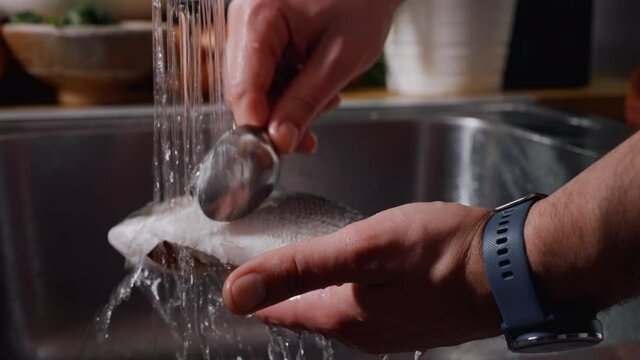 Cleaning Fish on Water Jet Before Cooking. Gilt-head bream fish. Slow Motion footage. Food Video.