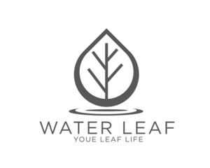 water leaf logo designs for extract drug or herbal health
