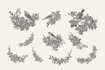 Set with birds and flowers. - obrazy, fototapety, plakaty