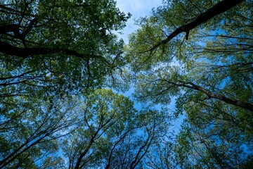 茨城県城里町キャンプ