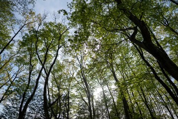 茨城県城里町キャンプ