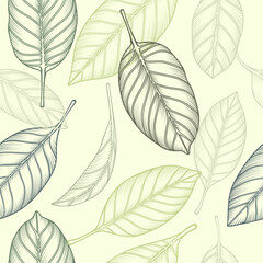 Pattern leaves